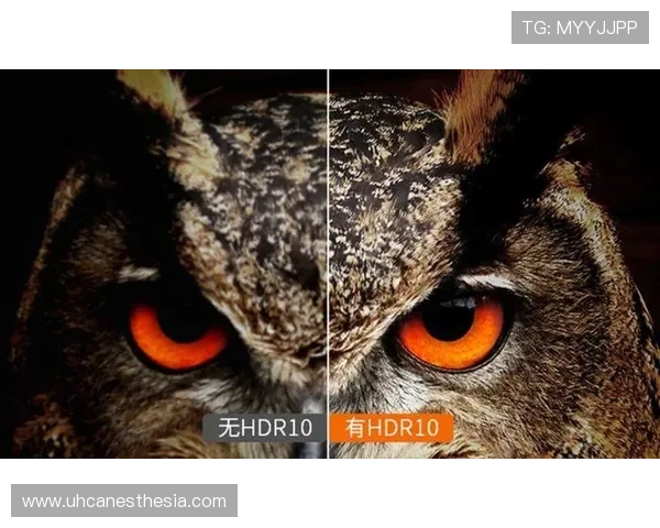 探索PA旗舰厅在线最新优惠活动和登录指南帮助玩家轻松畅玩无限乐趣