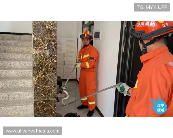 ag8国际亚游如何保障玩家资金安全，详细介绍平台的安全措施与风险控制策略，放心投注无忧