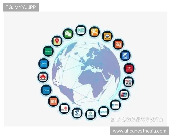 AG国际中文站客户服务与支持:解决常见问题的专业咨询渠道与流程介绍