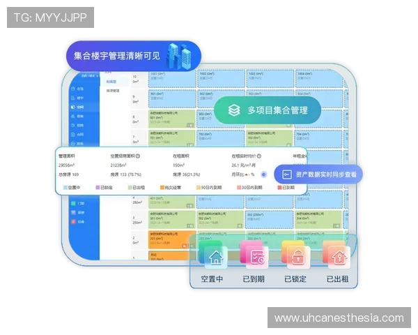 K8官方入口全面升级助力企业数字化转型实现更高效的管理与运营